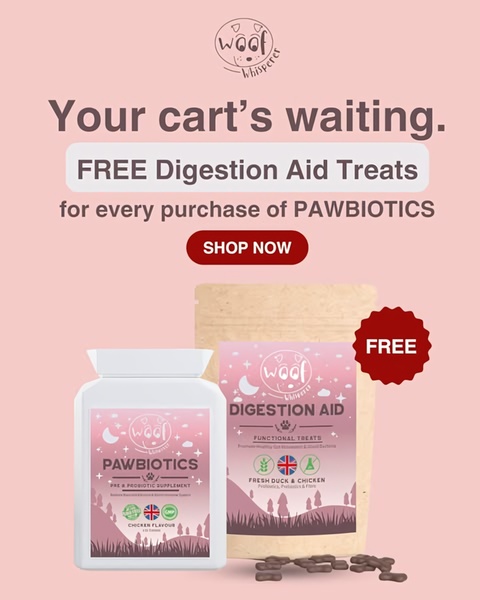 This creative uses a direct, benefit-focused approach to recover abandoned carts by offering a free bag of digestion aid treats with every purchase.